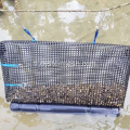 9mm Diamond at Square Hard Oyster Floating Cages